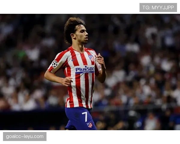 菲利克斯闪耀职业轨迹：从新星崛起到行业领军者