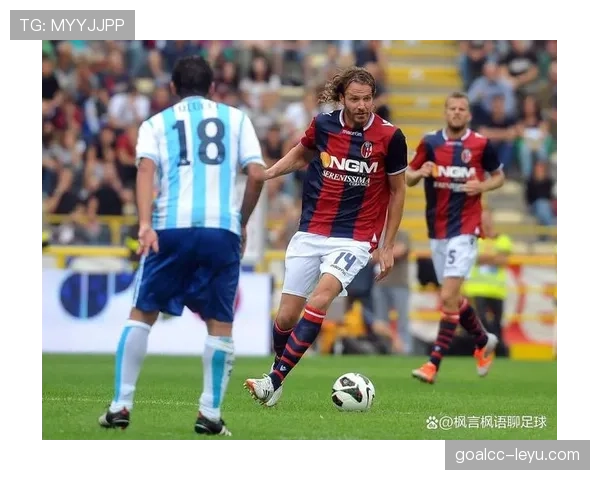 勒沃库森今夏引援动作频频，新星加盟提升阵容深度