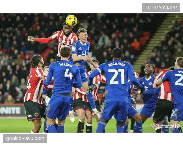 蒙彼利埃状态回暖，稳健迎战未来赛事